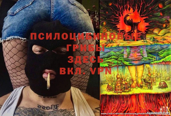 мдма Инта