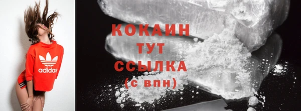 2c-b Инсар
