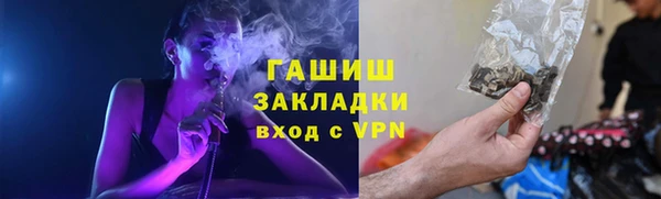 2c-b Инсар