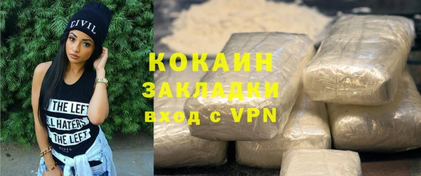 2c-b Инсар