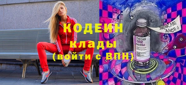 ПСИЛОЦИБИНОВЫЕ ГРИБЫ Каменка