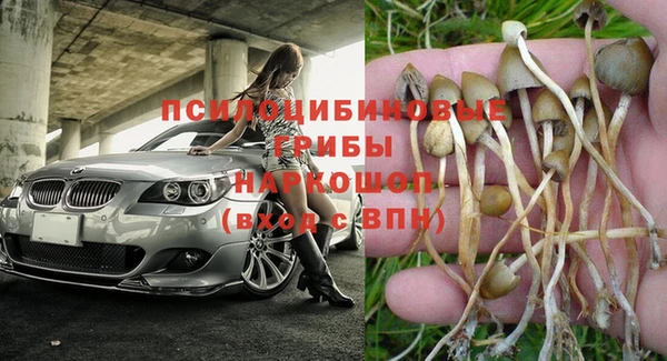 мдма Инта