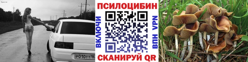 Галлюциногенные грибы прущие грибы  Купить закладки  Зерноград 